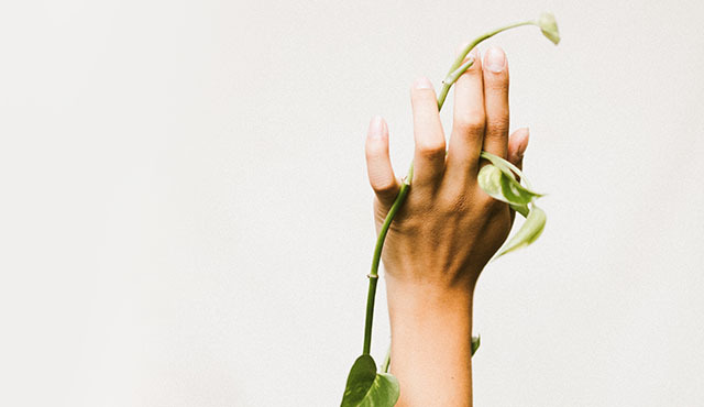nail resolutions category banner